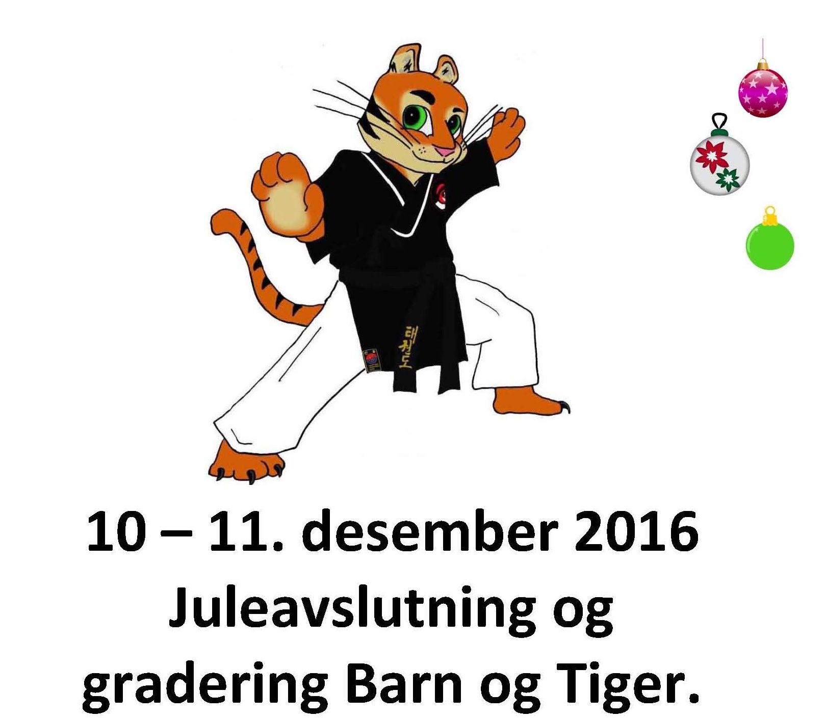2016-program-juleseminar-barn-og-tiger_side_01