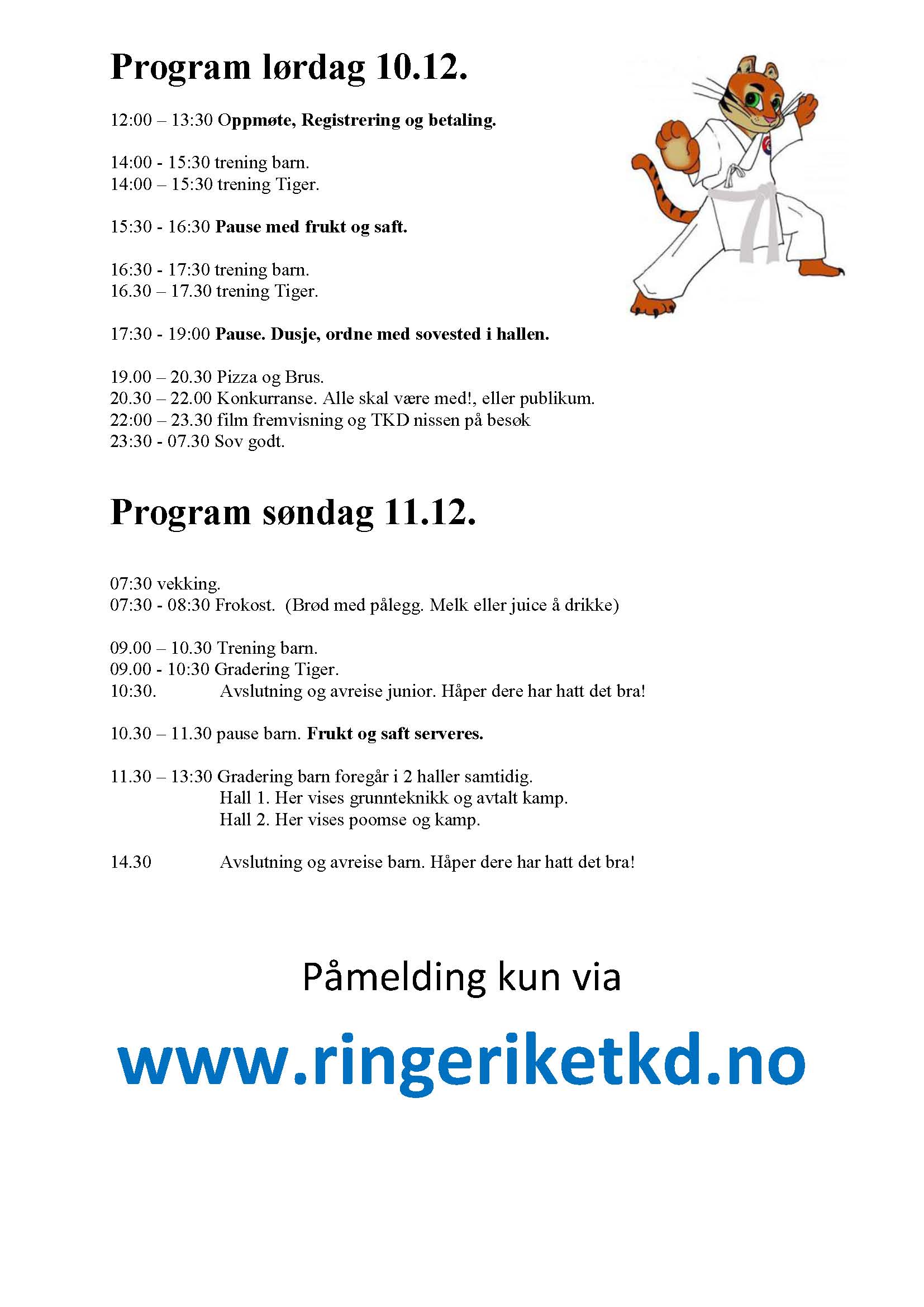 2016-program-juleseminar-barn-og-tiger_side_02